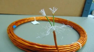 25 pies 22 AWG película blindada de poliimida chapada en plata alambre Kapton 2 piezas trenzadas SPC - Imagen 1 de 3