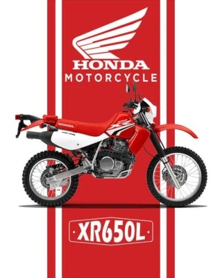 93-23 HONDA XR650L STOCK OEM FOOT PEGS PAIR LEFT & RIGHT SET XRL650 MOTORCYCLE Foto 1 de 4