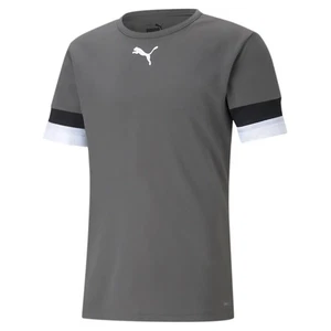 Puma TeamRISE Mens T Shirt DryCELL Crew Sports Gym Football Top Tee Grey S-3XL - Picture 1 of 2