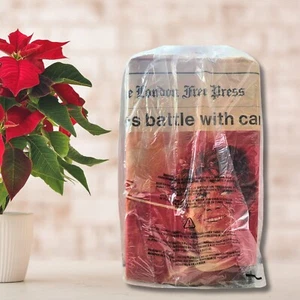 The London Free Press Terry Fox's Death 1981 Newspaper - Imagen 1 de 1