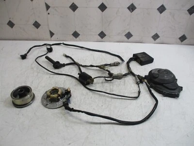 Yamaha yz250f yz 250 f 2002 02 CDI bobina estator volante cubierta estator interruptor de apagado Foto 1 de 4