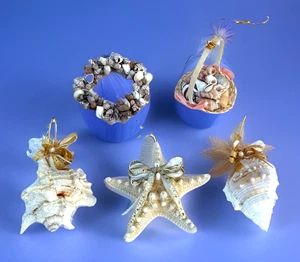 Seashell Beach Themed Christmas Ornaments X5 sep25 - Picture 1 of 12
