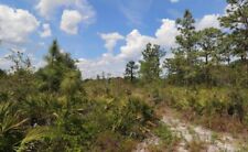 
				2.53 Acre Lot in Central Florida: Residential Area 1 Hour from Orlando & Disney!
			