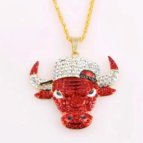 Chicago Bulls Necklace Cover