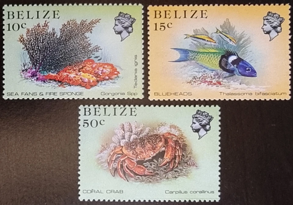 Belize - 1988 - Sc705a, 706a,708a - Fish Definitives perf 13.5 MNH — 第 1/1 张图片