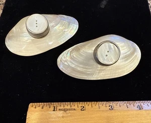 Handwerkliches PAAR handgefertigte Abalone Muschel Salz und Pfefferstreuer OOAK schön - Bild 1 von 8