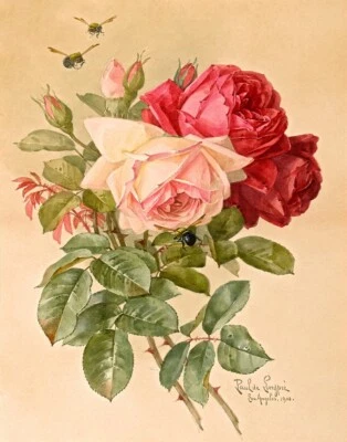 Impresión en lienzo de rosas y abejorros de Paul de Longpre 16 x 20 Foto 1 de 4
