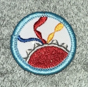 Vtg RARE Salvation Army Girl Guards Patch - Picture 1 of 3