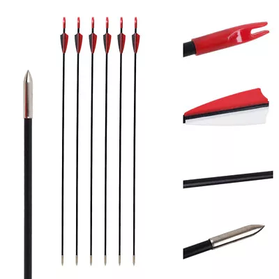 6pcs 31in Fiberglass Arrows Recurve Straight Bow Practice Arrows Outsourcing - Image 1 of 4