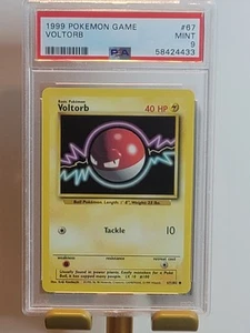 1999 Pokémon VOLTORB PSA 9 PERFECT CENTERING - FRESH SLAB - Picture 1 of 3