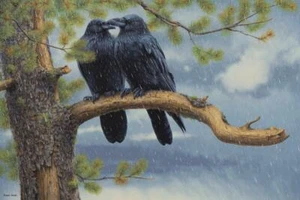 Ceramic Tile Mural Kitchen Backsplash - Shelter in the Storm - Black Birds Crows - Picture 1 of 9