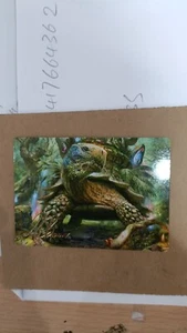 GOLD STAMPED Blossoming Tortoise #24 Wilds of Eldraine Art Series - Picture 1 of 1