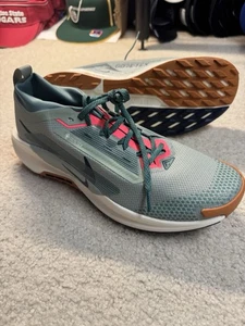Nike Pegasus Trail 5 GTX Jade Horizon Wandern Laufen Herren Größe 11 Neu FQ0908-300 - Bild 1 von 14