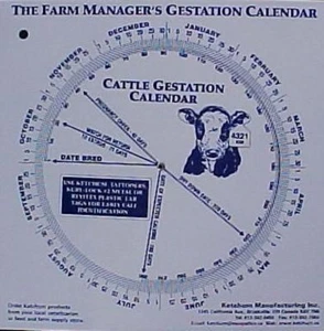 Cattle Gestation Calendar Calculate Birth Breeding - Picture 1 of 1