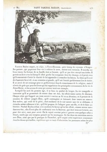 1825 San Pascual Baylón Yubero "Saint Paschal Baylon" (Torrehermosa-Villarreal) - Picture 1 of 1