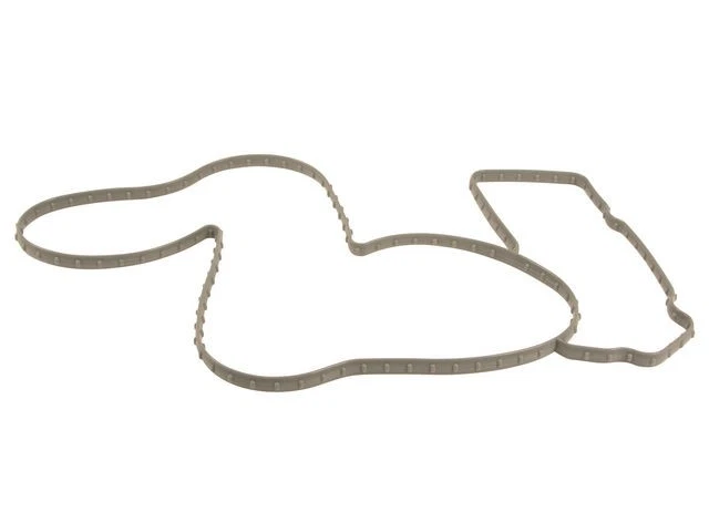 Junta de carcasa de bomba de agua Mahle 39MTNZ25 para Chrysler Aspen 2007 2008 Foto 1 de 1