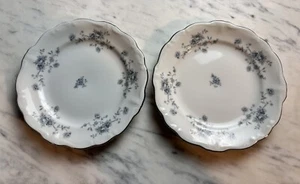(2) NEW Vintage JOHANN HAVILAND Porcelain BLUE GARLAND BREAD PLATES 6.25” - Picture 1 of 15