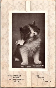 Vintage Postcard Cute Kitty Kitten Cat Robbins 1907 Pub JX14 - Picture 1 of 2