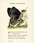 4585 Ross, M.T. (1881-1937) - Butterfly Babies 1914 - Striped Hair-streak
