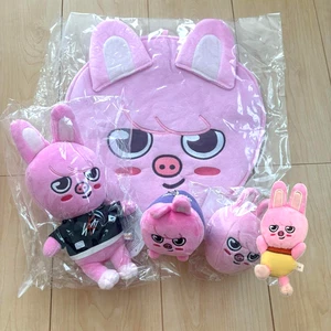 Stray Kids SKZOO Changbin DWAEKKI Prodotti Ufficiali Set di 5 Peluche Fan Cover - Foto 1 di 10