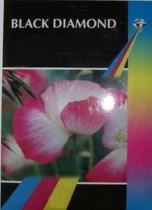 100 fogli di carta fotografica opaca double face disponibili in A4 o A3 - Foto 1 di 8