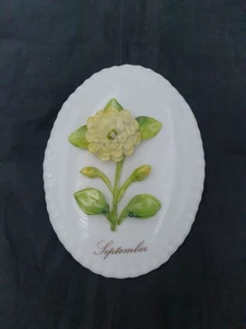 VINTAGE COALPORT FLOWER OF THE MONTH "SEPTEMBER" BONE CHINA WALL PLAQUE HANGING - Picture 1 of 12