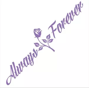 Always And Forever Car Stickers JDM Windshield Banner Motivation 24cm X 90cm - Foto 1 di 1