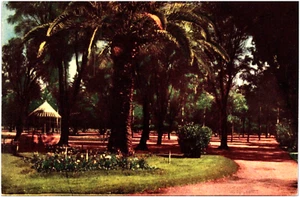 Mayo Park in Bahia Blanca Buenos Aires Argentina 1910s Postcard Unused - Picture 1 of 2
