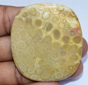 Untreated 109.90 Ct Natural Indonesia Coral Cabochon Pendant Use Loose Gemstone - Picture 1 of 6