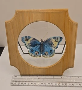 Schmetterlingsdruck auf Glas im Naturholzrahmen Cottagecore - Bild 1 von 2