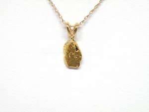 Genuino Natural Alaska - Colgante Pepita Oro Yukón con Cadena Oro 14k 18" - Imagen 1 de 9
