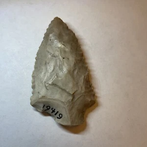 2 3/4 Inch Abbey Arrowhead Dixie County Florida Coral - Picture 1 of 2
