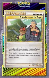 Sage Training - 85/95 - Französische Pokemon Karte - Bild 1 von 1