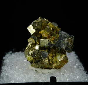Pyrit & Tetrahedrit / Daly-Judge Mine, Park City, Utah / Rare Mineral Specimen - Bild 1 von 3