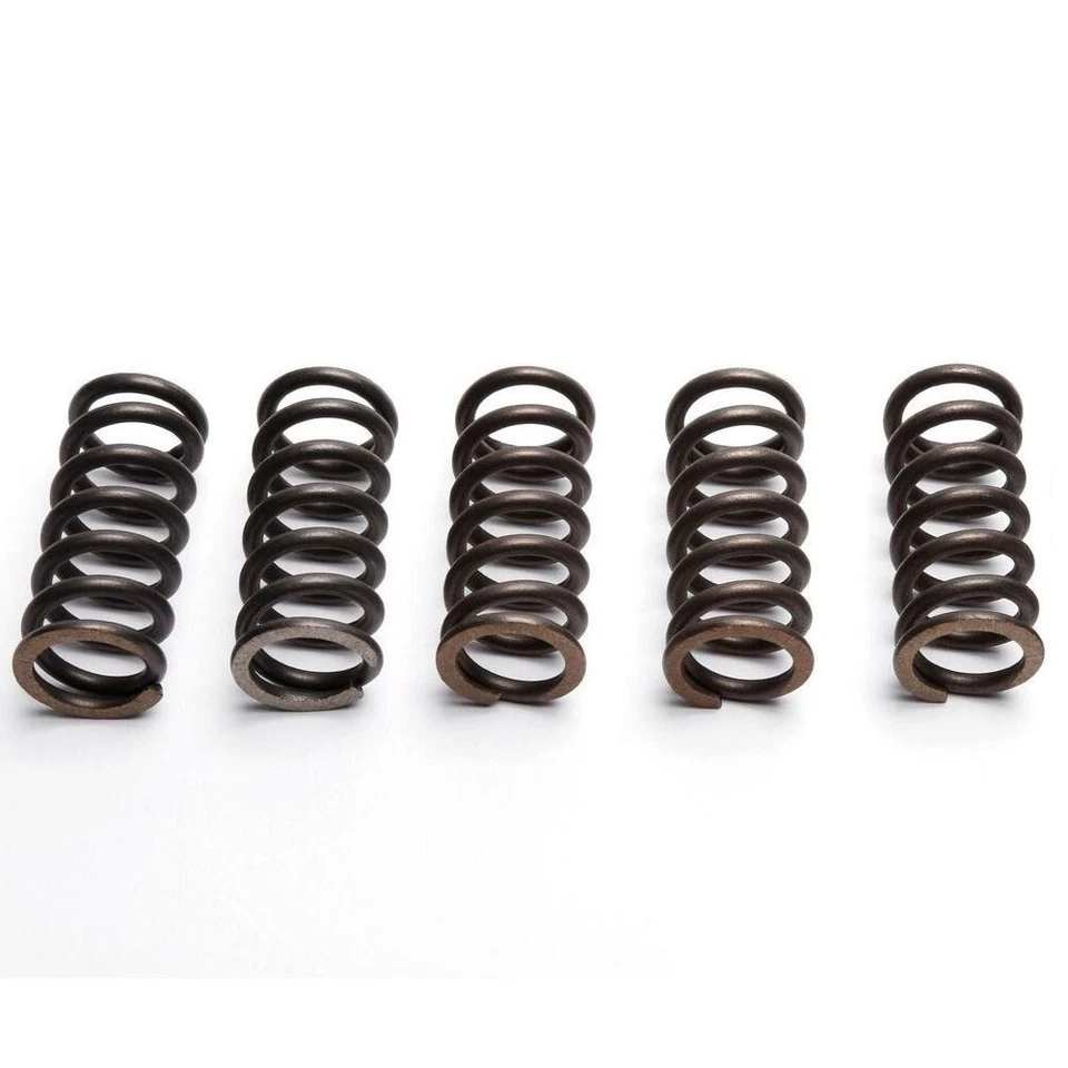 EBC Clutch Spring Set (5 PCS) Suzuki GSF 1200 SFK7 Bandit Streetfighter 2007-09 - Image 1 of 1