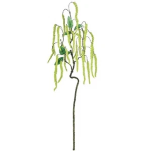 Amaranthus Spray - Picture 1 of 1