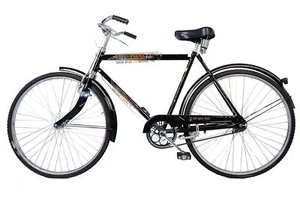 Roadster Cycle Citybike Fahrrad Single Speed schwarz für Erwachsene Größe 22 ... - Bild 1 von 11