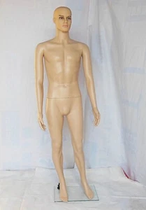 1X New Full Body Size Male Mannequin 180cm High - Picture 1 of 1