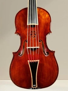 Cello da Spalla (Viola pomposa) – Handarbeit aus Siebenbürgen, gebaut 2025 - Bild 1 von 12