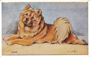 Frühe CHOW MAC Lucy Dawson Hund Postkarte - Bild 1 von 1