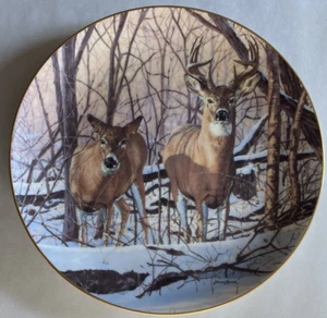 Friends of the Forest Afternoon Alert - Picture 1 of 2
