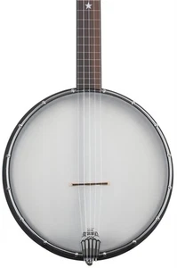 Gold Tone AC-12FL - 12-inch Fretless Acoustic Composite 5-string Open-back Banjo - Picture 1 of 8