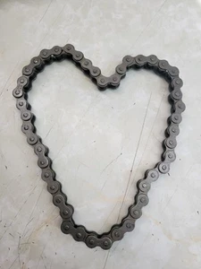 Weedeater Model WE261 Mower Drive Chain PN 532 428069 Original Equipment Part - Picture 1 of 7