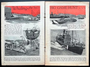 “Whaling ~ the Sea’s Big Game Hunt” 1930 pictorial Wilkins-Hearst Expedition - Picture 1 of 1