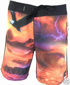 Neu Herren 34 Quiksilver Oasis Adler Surfen Schwimmen Boardshorts $ 60 letzte Einheit - Bild 1 von 1