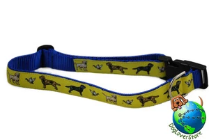 Labrador Retriever Adjustable Collar XL 13-26" Yellow - Picture 1 of 1