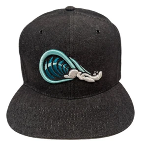 Zephyr "One Vibe” Flat Bill SnapBack Hat BRAND NEW WITH TAGS - Picture 1 of 5