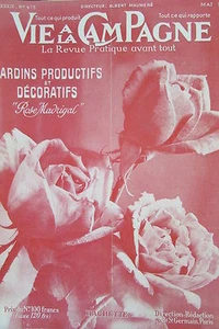 LA VIE à la CAMPAGNE 1950 FLEURS LA ROSE JARDIN DECORATIF TERASSE SUSPENDU  - Picture 1 of 2