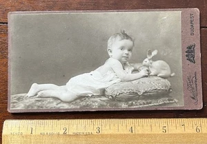 Photo on Board CHILD WITH BUNNY TOY. Budapest  6 x 3 1/4 in including backing. - Picture 1 of 2