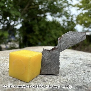 Genuine muonionalusta meteorite slice with widmanstatten pattern - certified - Picture 1 of 1